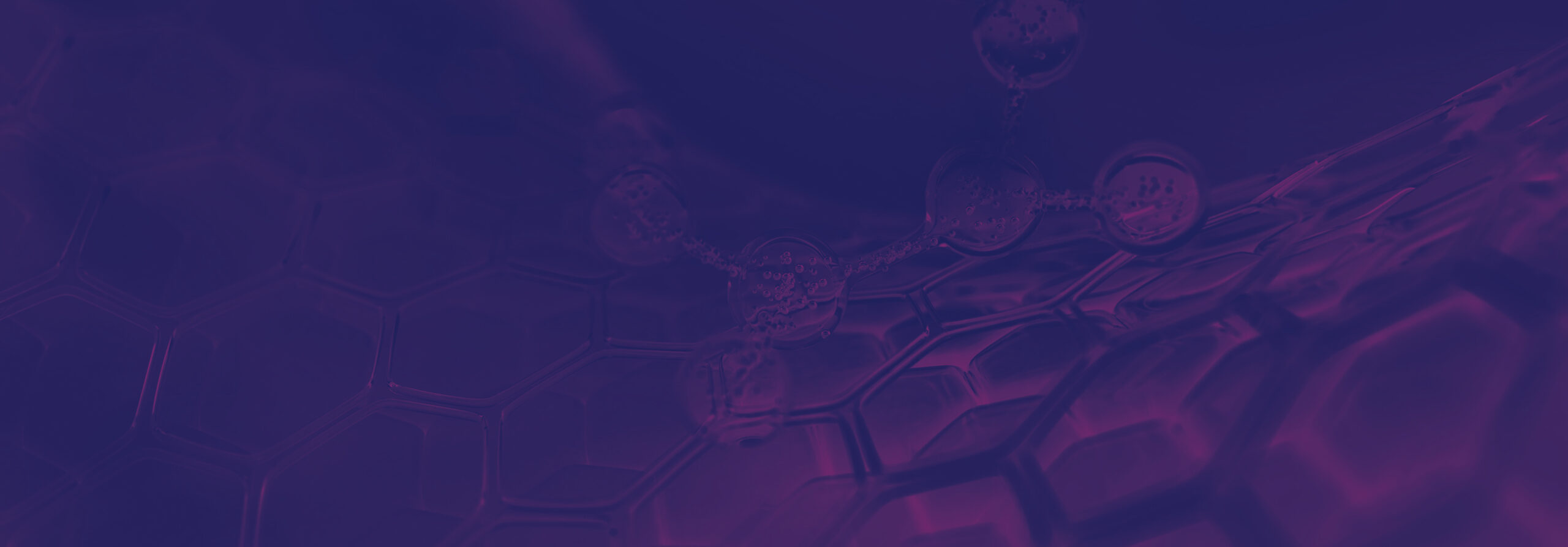 purple-bg